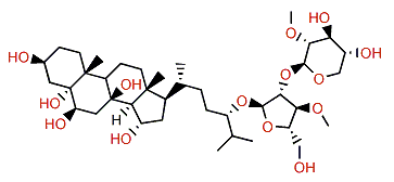 Regulusoside C